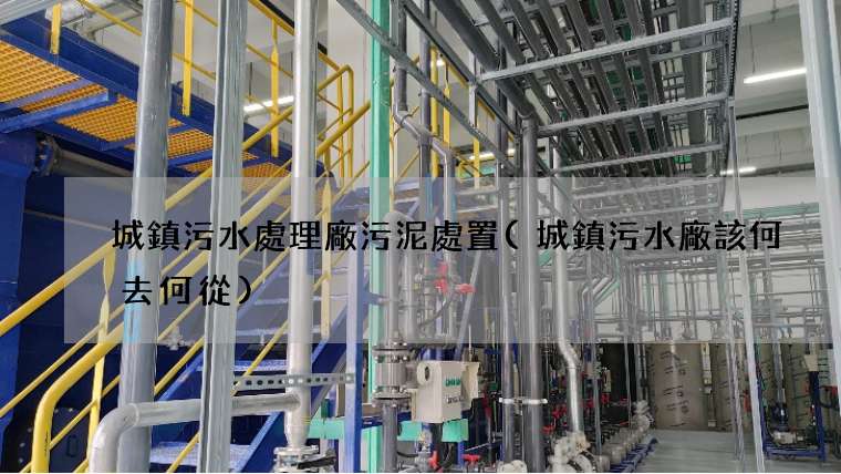 城鎮污水處理廠污泥處置(城鎮污水廠該何去何從)